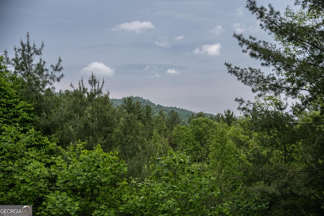 view of landscape