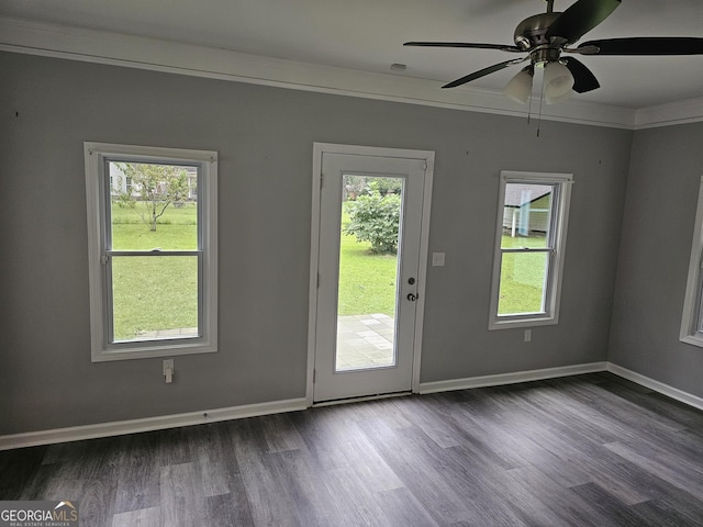 entryway featuring ornamental molding, dark hardwood / wood-style floors, and ceiling fan