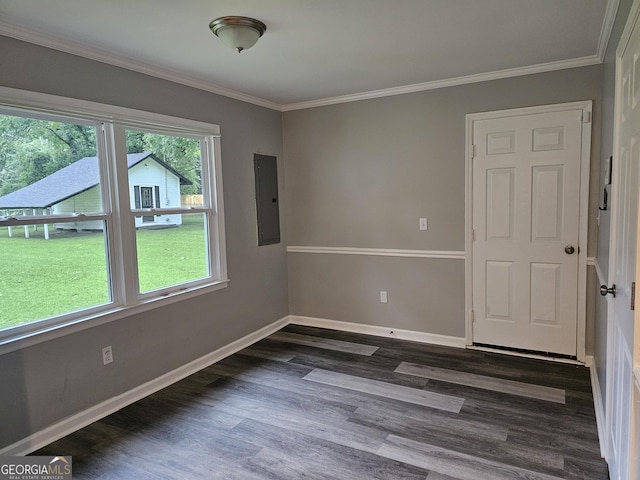 empty room featuring ornamental molding, electric panel, and dark hardwood / wood-style flooring