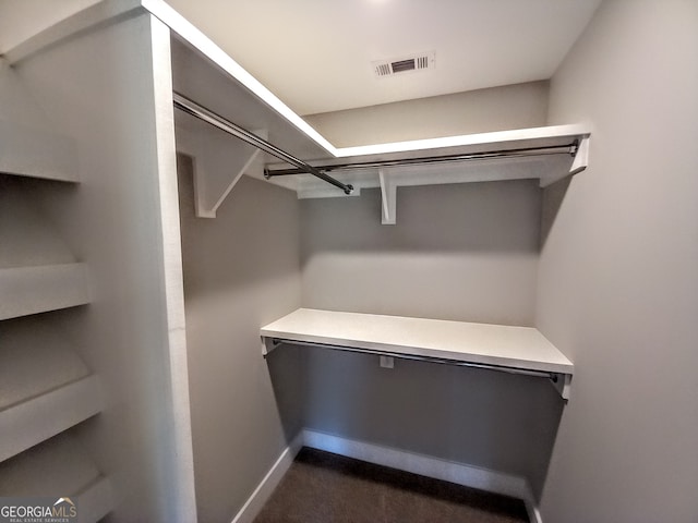 view of walk in closet