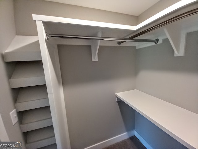 view of walk in closet