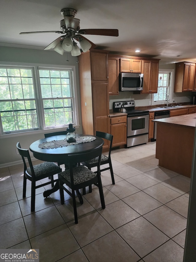 kitchen featuring ceiling fan, stainless steel appliances, sink, and a wealth of natural light