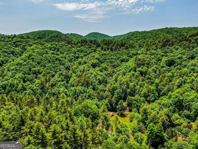 property view of mountains