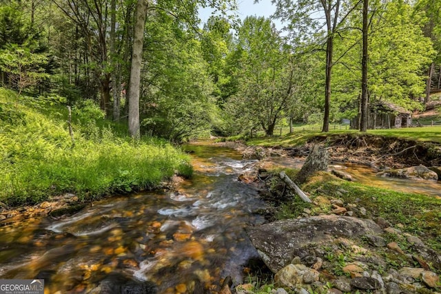 view of local wilderness with a water view