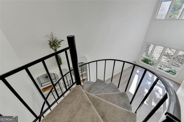 stairway featuring wood-type flooring