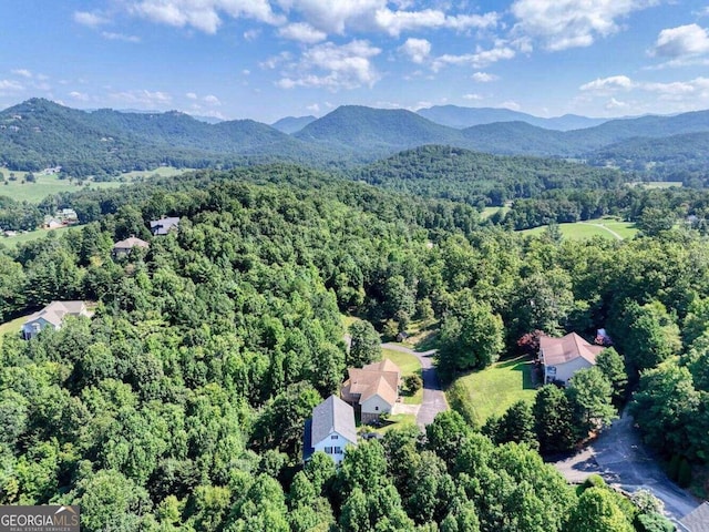 bird's eye view with a mountain view