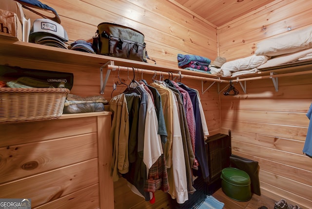 view of spacious closet