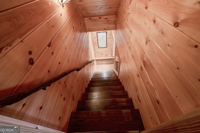 staircase featuring wood-type flooring