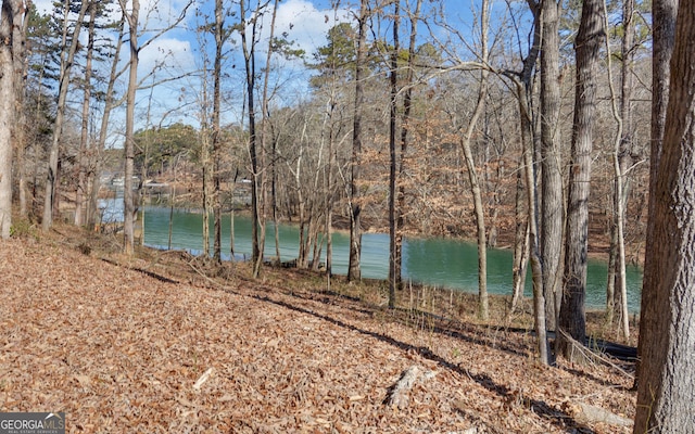 480 Winding Way, Hartwell GA, 30643 land for sale