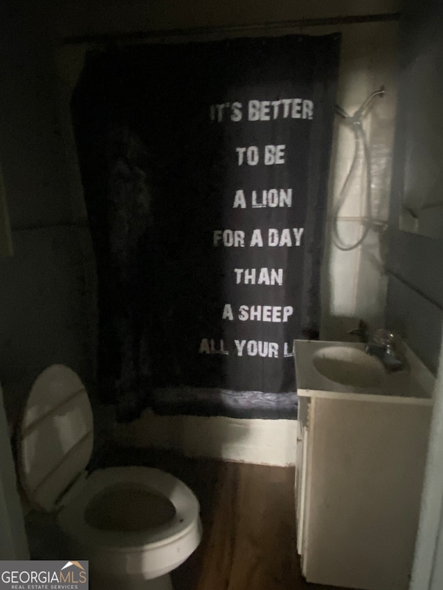 bathroom featuring vanity and toilet