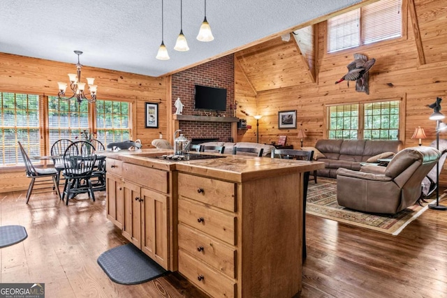 225 Big Oconee River Rd, Sparta, GA 31087 - kitchen with lofted ceiling, wood walls, a textured ceiling, and hardwood / wood-style flooring