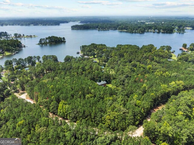 225 Big Oconee River Rd, Sparta, GA 31087 - aerial view featuring a water view and a view of trees