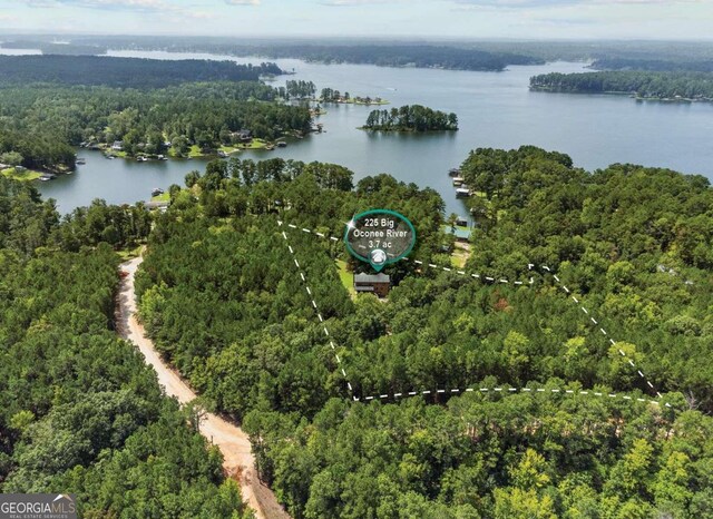 225 Big Oconee River Rd, Sparta, GA 31087 - drone / aerial view with a water view and a forest view