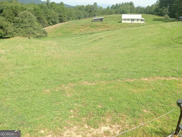 view of yard with a rural view