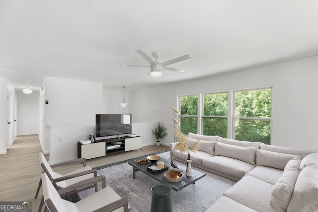 living room with ceiling fan and light wood-type flooring