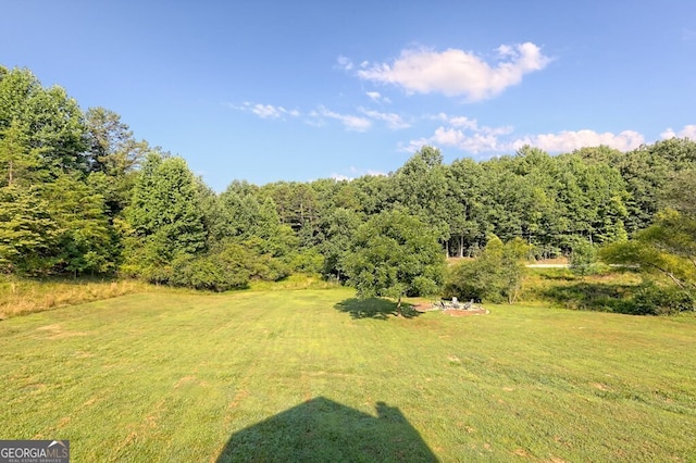 view of yard featuring a wooded view