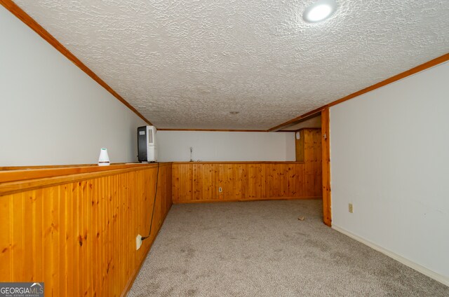 basement with a textured ceiling and light colored carpet