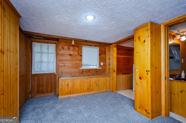 empty room with wood walls, a textured ceiling, light colored carpet, and sink