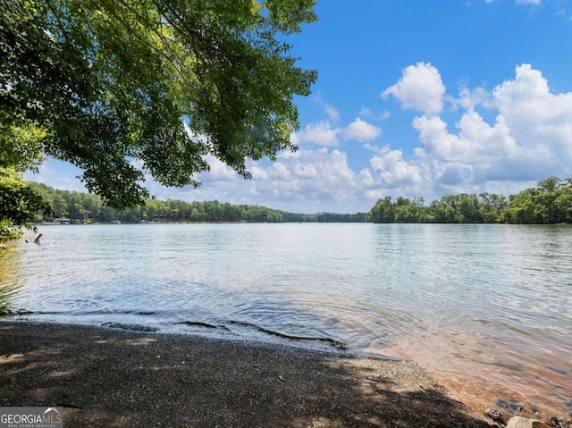 property view of water