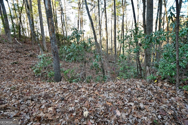 LOT4 Blowing Wind Ln, Clayton, GA 30525
