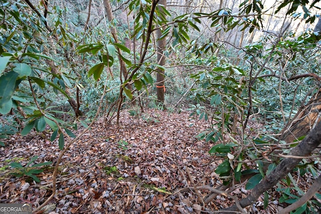 LOT4 Blowing Wind Ln, Clayton, GA 30525
