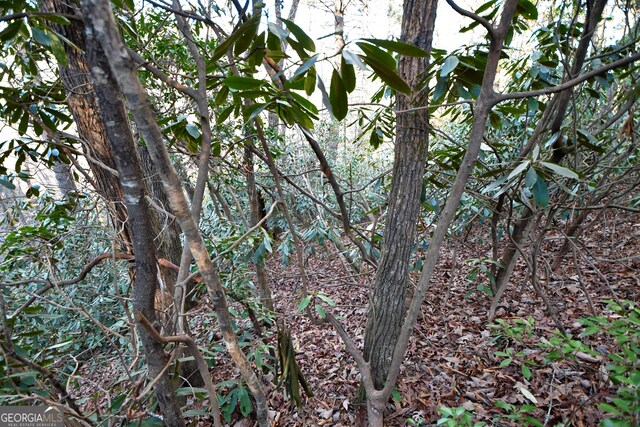 LOT4 Blowing Wind Ln, Clayton, GA 30525