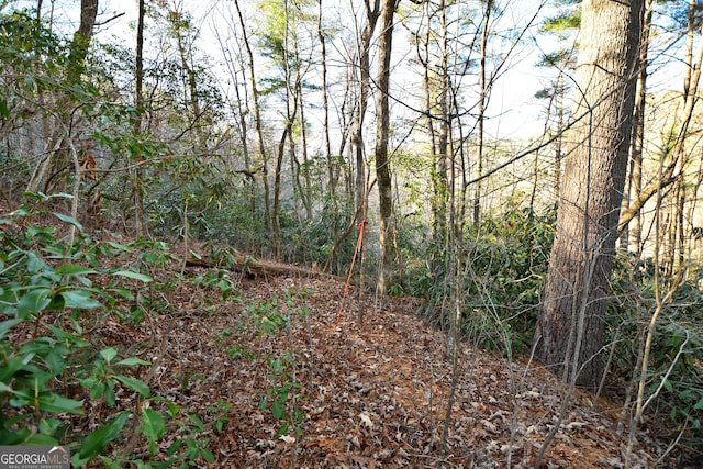 Listing photo 2 for LOT4 Blowing Wind Ln, Clayton GA 30525