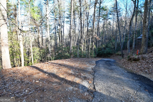 LOT4 Blowing Wind Ln, Clayton, GA 30525