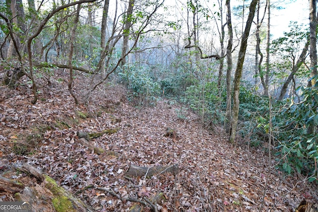 LOT4 Blowing Wind Ln, Clayton, GA 30525