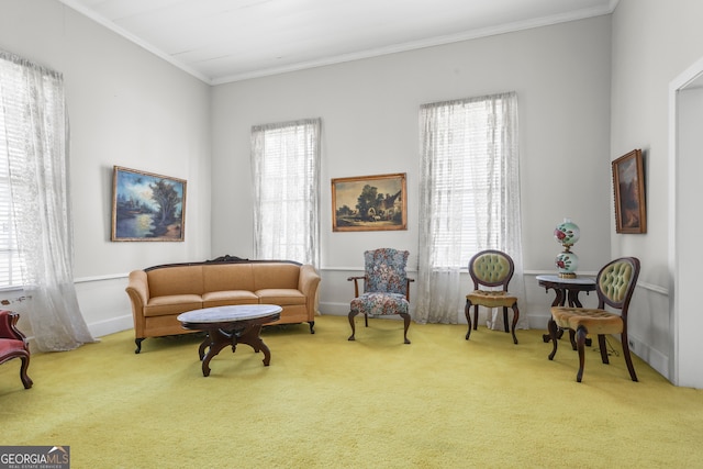 living area featuring ornamental molding, carpet, and a healthy amount of sunlight