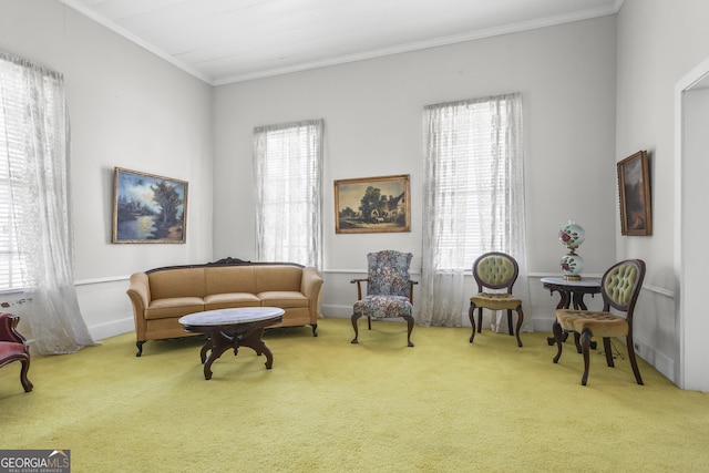 211 Main St, Franklin, GA 30217 - sitting room featuring carpet and ornamental molding