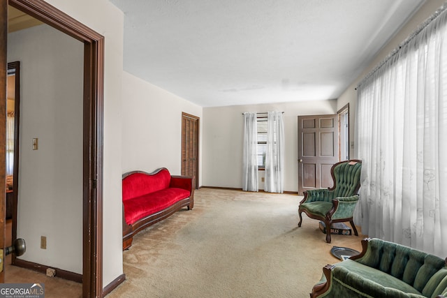 sitting room featuring carpet