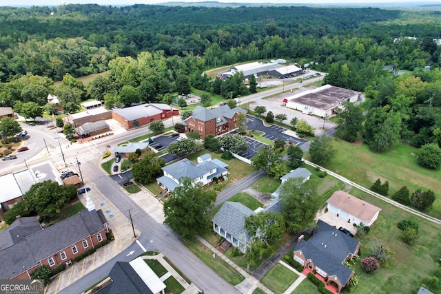 211 Main St, Franklin, GA 30217 - view of property location with a heavily wooded area and nearby suburban area