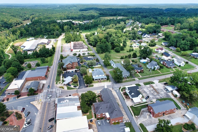 drone / aerial view