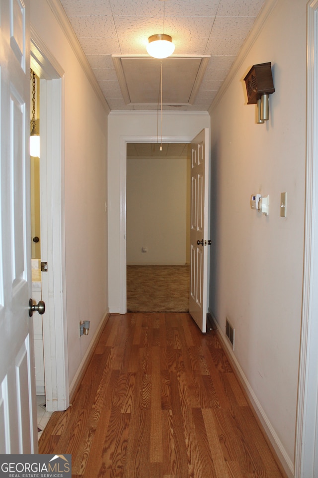 corridor featuring wood-type flooring