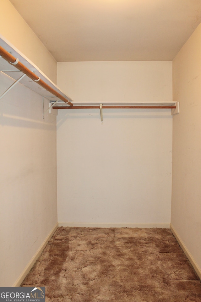 spacious closet featuring carpet flooring