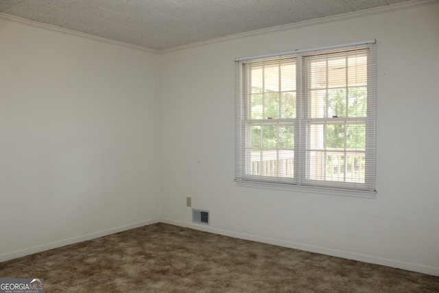 empty room with carpet flooring