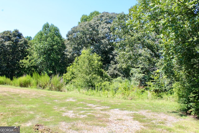 view of local wilderness