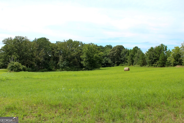 view of local wilderness