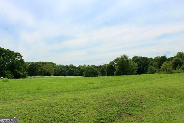 view of local wilderness featuring a rural view