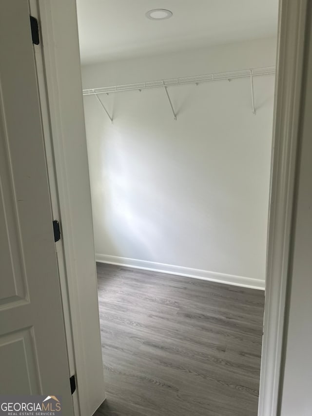 walk in closet featuring dark hardwood / wood-style floors