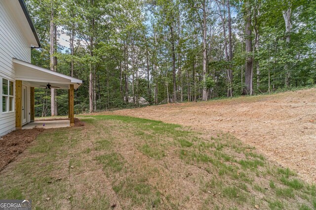 view of yard featuring ceiling fan