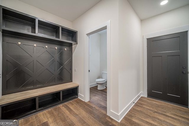 mudroom with dark hardwood / wood-style flooring