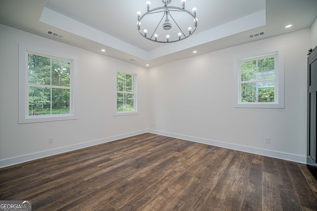 empty room with dark hardwood / wood-style floors, a wealth of natural light, and a tray ceiling