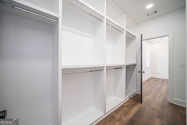 spacious closet featuring dark wood-type flooring