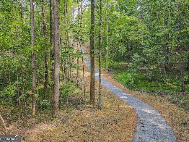 0 Orchard Ln, Talking Rock, GA 30175