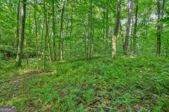 0 Orchard Ln, Talking Rock, GA 30175