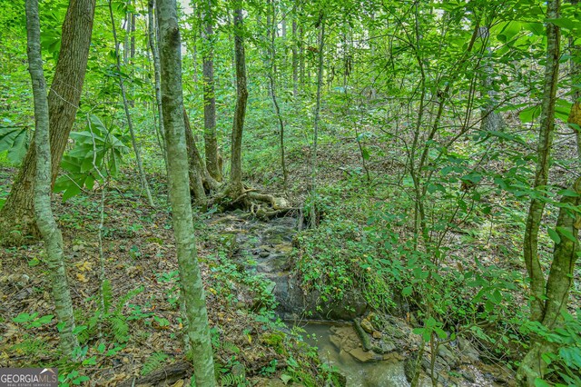 0 Orchard Ln, Talking Rock, GA 30175