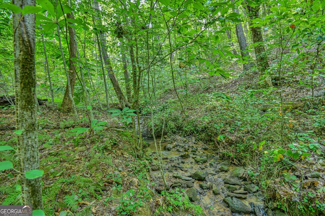 0 Orchard Ln, Talking Rock, GA 30175