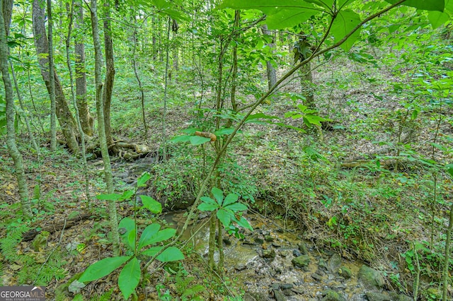 0 Orchard Ln, Talking Rock, GA 30175